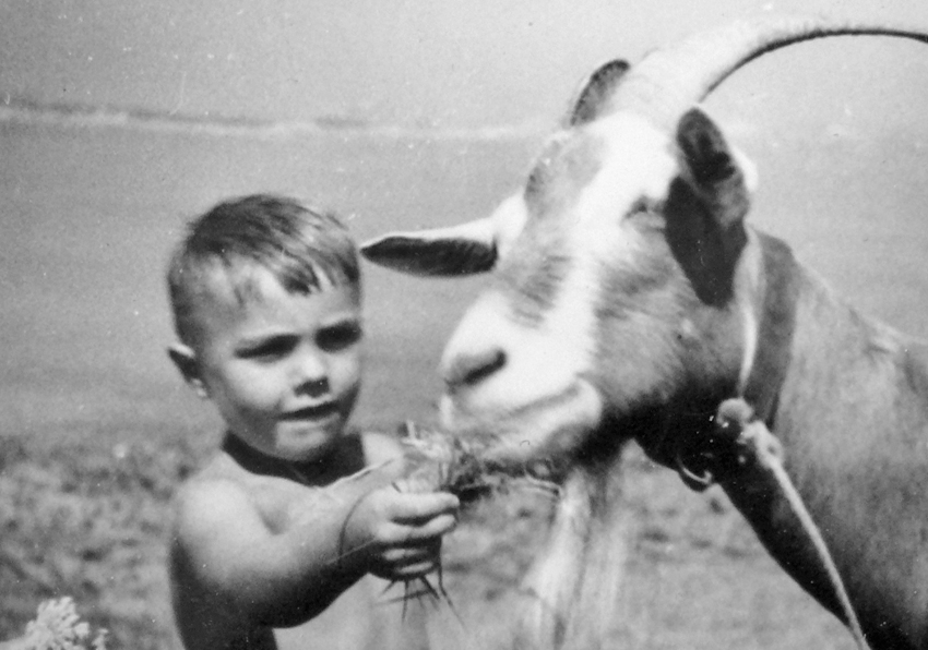 1959 59 lk goat