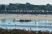 Guernsey : Lancresse bay