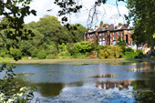 Pond in Hampstead