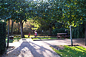 Holland Park in autumn